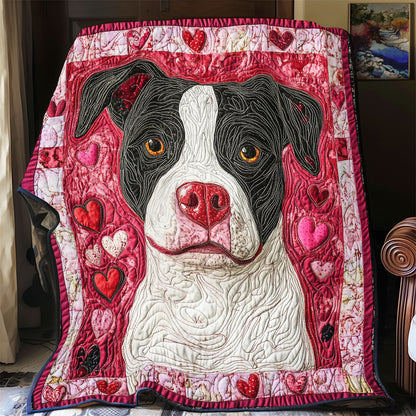 Pitbull Valentine WX0901044CL Quilt