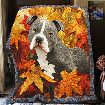 Pitbull WX0803057CL Quilt